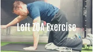 All Fours Left ZOA Exercise