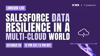 Salesforce Data Resilience in a Multi-Cloud World