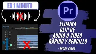 How to DELETE AUDIO or video | Adobe Premiere Pro Tutorial