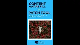 Content Aware Fill vs Patch Tool in photoshop #shorts