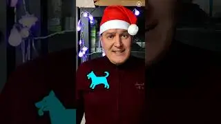 Мама, а можно мне собаку на Новый год 🐕