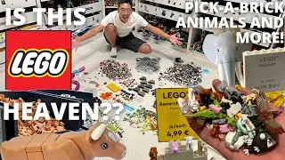 LEGO MOCist Heaven: Legoland Germanys INSANE Pick a Brick Store Haul with ANIMALS and more!