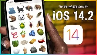 What's New in iOS 14.2 - New Emoji, Intercom on HomePod, New Wallpapers, and More!