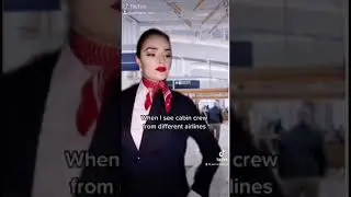 When flight attendants from different airlines see each other 🤪 