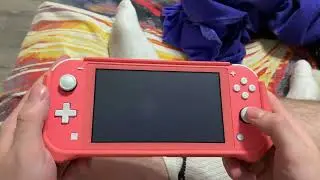 1 день с Nintendo Switch Lite, что я понял?