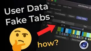 Cinema 4D Xpresso: User Data Fake Tabs