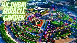 Dubai miracle garden 2022 the most beautiful garden in the world.  Dubai Tourist Attraction #dubai