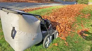 Big Fall Cleanup: Trimming, Mowing, Leaf Blowing & Leaf Pickup - Early November