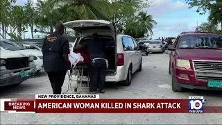 Tourist killed in Bahamas shark attack