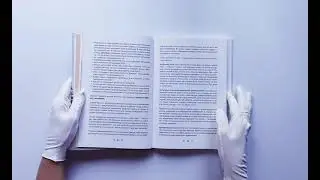 Яндекс.Дзен. Как создать свой блог и сделать его популярным