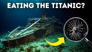 The Darkest Titanic Facts No One Ever Talks About...