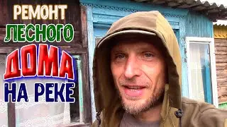 В лесном доме у реки ремонт и развал творится одновременно у художника в деревне.