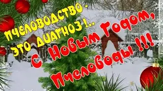 С НОВЫМ ГОДОМ, ПЧЕЛОВОДЫ!