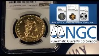 ANA Coin Show grading with NGC - Dropoff  - Walkthrough - Tried and Tested