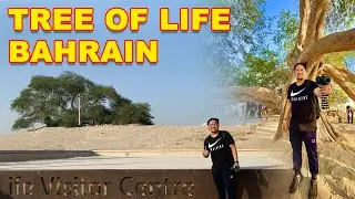 BAHRAIN TREE OF LIFE