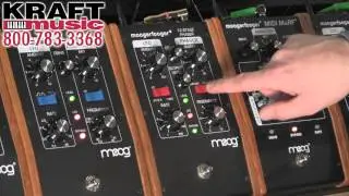 Kraft Music - Moog Moogerfooger MF-103 12-Stage Phaser Demo with Jake Widgeon