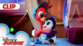 Baby Fliers | T.O.T.S. | @disneyjunior