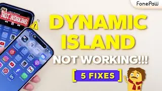 5 WAYS on How to Fix Dynamic Island Not Working 2023