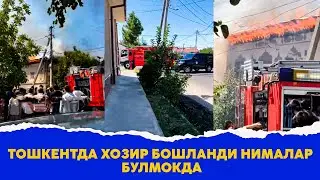 Тошкентда хозир бошланди нималар булмокда