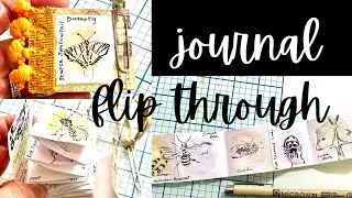 ⭐️Nature Journal With Me⭐️Summer Buggin' 2024⭐️unnarrated nature journal flip through