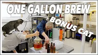 🍺 1 Gallon Of Beer -  Your First HomeBrew Recipe @BrewHouse Glen & Friends Cooking