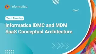 Informatica IDMC and MDM SaaS Conceptual Architecture