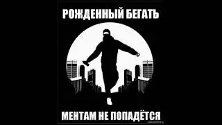 Карпаты и т.д
