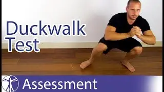 Duck Walk / Childress Test | Meniscus Tear