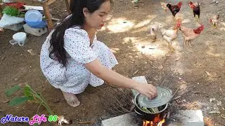 Beautiful Survival Life Amidst Primitive Mountains, Enjoy Steamed Shrimp With Beer | Nature Life 88