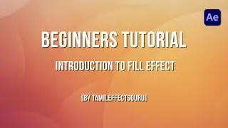 After Effects Beginner Tutorial in Tamil - Part 10