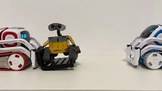 Cozmo love journey