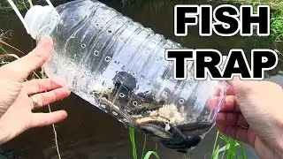 How to make a fish trap with plastic bottle - Awesome Life Hacks!