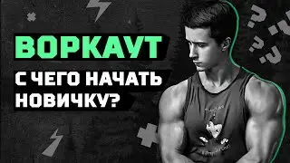 С ЧЕГО НАЧАТЬ НОВИЧКУ В ВОРКАУТЕ?