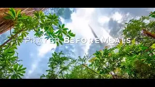Prayer Before Meals HD