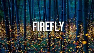 Firefly - Kize Bae (Official Lyric Video)