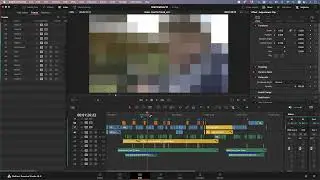 How to name your tracks in DaVinci Resolve