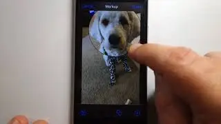 How to magnify section of photo using iPhone Markup