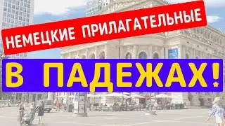 🙇 Проверь свой немецкий. Переведи с русского. Склонение немецких подлежащих с определенным артиклем