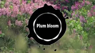 Japanese EDM Big Room  Plum bloom by KSK17