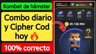 Combo diario y código cifrado diario de Hamster Kombat del 23 al 24 de agosto de hoy 🔥