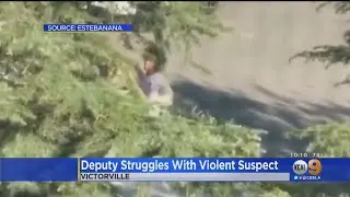 Victorville Suspect Shot After Wrestling Away Gun From San Bernardino Deputy, Opening Fire