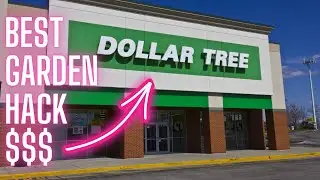 Dollar Tree Simple Garden Hack You Must Try