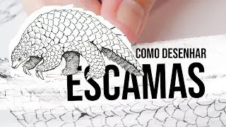 Como desenhar escamas (Tutoriais de animais #1)