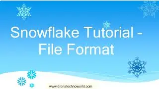 007 Snowflake Tutorial - How to create File Format for Data Load