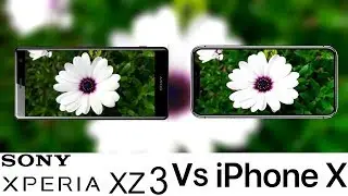 Sony Xperia XZ3 Vs iPhone X Camera Test