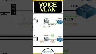 Never Forget Voice VLAN! 💪| CCNA 200-301 IPCisco.com #shorts #cisco