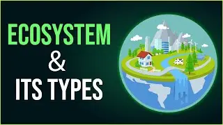 What is Ecosystem? | Different Types of Ecosystem | Environmental Science | EVS | Letstute