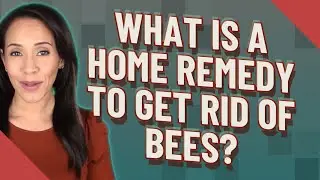 What is a home remedy to get rid of bees?