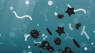 What is a probiotic? ISAPP educational video