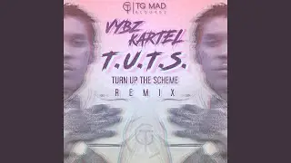 T.U.T.S. (Turn up the Scheme Remix)